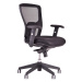 Ergonomická kancelárska stolička OfficePro Dike Farba: čierna, Opierka hlavy: s opierkou