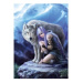 Clementoni - Puzzle Anne Stokes 1000 Ochranca