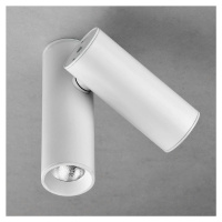 Milan Haul stropné LED svietidlo 2-pl., biela