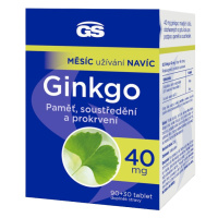 GS Ginkgo 40 mg 90 + 30 tabliet