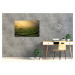 Impresi Obraz Východ slnka čajovníková plantáž - 60 x 40 cm