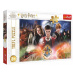 Puzzle TREFL Harry Potter - Tajomstvo 300 dielikov