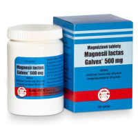 GALVEX Magnéziové tablety 500 mg 100 tabliet