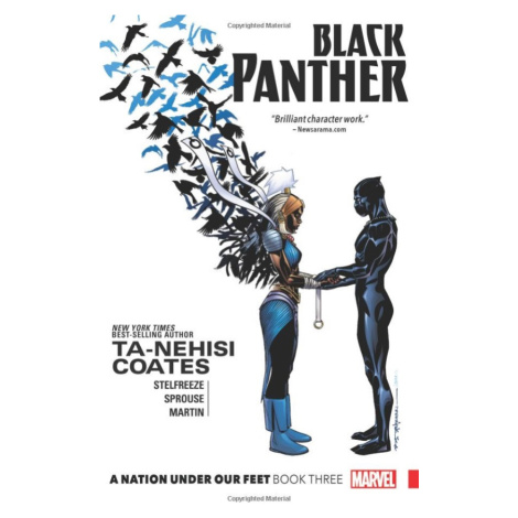 Marvel Black Panther: A Nation Under Our Feet Book 3