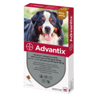 ADVANTIX Spot-on pre psov 40-60 kg 6 ml 1 pipeta