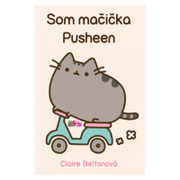 COOBOO Som mačička Pusheen