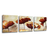 Impresi Obraz Malované kvety - 90 x 30 cm (3 dielny)