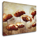 Impresi Obraz Malované kvety - 30 x 20 cm