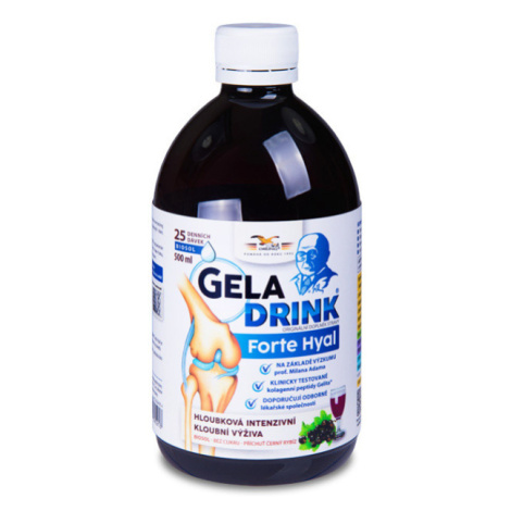 GELADRINK Forte Hyal biosol čierne ríbezle 500 ml