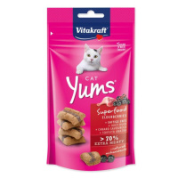 Pochúťka Vitakraft Cat Yums Superfood kačka s bazou 40g