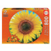 Puzzle Sunflower Round Educa 800 dielov a Fix lepidlo od 11 rokov