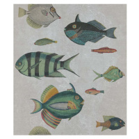 MINDTHEGAP Poissons Grey - tapeta