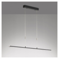 Závesné svietidlo Metz TW LED, CCT, dĺžka 120 cm, čierna