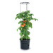 Kvetináč pre pestovanie paradajok a iných pnúcich rastlín, Grower antracit 39,2 cm PRIPOM400-S43