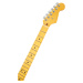 Fender American Ultra Stratocaster MN TXT