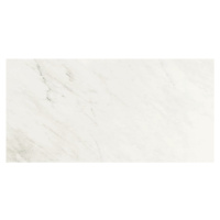 Dlažba Graniti Fiandre Marble Lab Premium White 60x120 cm leštená AL191X864