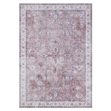 Kusový koberec Asmar 104007 Raspberry/Red - 160x230 cm Nouristan - Hanse Home koberce