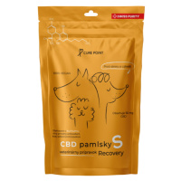 CURE POINT CBD Pamlsky Recovery 100 g, Veľkosť: L