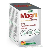 Magfit Mango a pomeranc 15 ml x 20 sacku