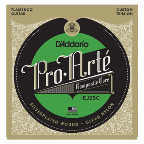 D'Addario EJ25C