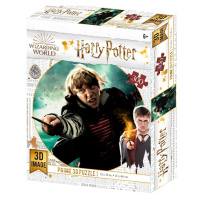 3D puzzle Harry Potter-RonWeasley300ks