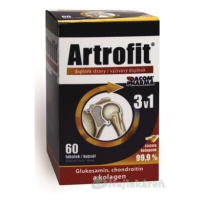 Dacom Pharma Artrofit 60 kapsúl