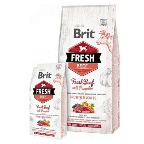 BRIT Fresh Puppy Large hovädzie s tekvicou 2,5kg