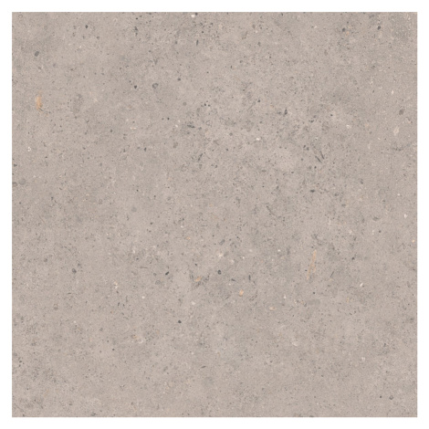 Dlažba Pastorelli Biophilic grey 60x60 cm mat P009496