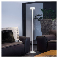 OLIGO Glance stojaca LED lampa biela matná