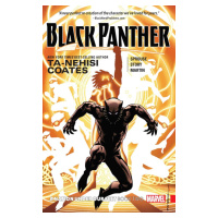 Marvel Black Panther: A Nation Under Our Feet Book 2