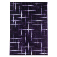 Kusový koberec Costa 3521 lila Rozmery koberca: 80x250
