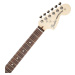 Fender American Performer Stratocaster RW AWT