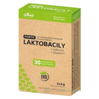 VITAR LAKTOBACILY FORTE + vláknina + vitamín C 30 kapsúl