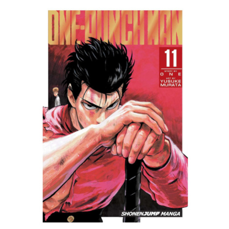 Viz Media One-Punch Man 11