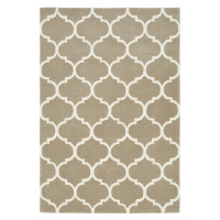 Svetlohnedý ručne tkaný vlnený koberec 160x230 cm Albany – Asiatic Carpets