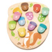 Drevený žaluď How Many Acorns? Tender Leaf Toys 10 dielov bodkovaných žaluďov od 18 mes