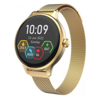 CARNEO Hero mini HR+/Gold/Elegant Band/Gold