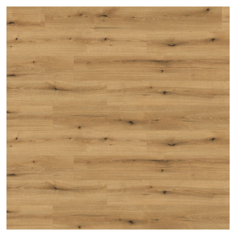 Kaindl Laminátová podlaha Masterfloor Aqualine dub Evoke Coast 1383 x 193 x 8 mm