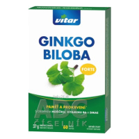 VITAR GINKGO BILOBA FORTE