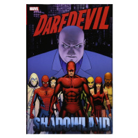 Marvel Daredevil: Shadowland Omnibus