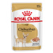 Royal Canin CHIHUAHUA kapsičky pre čivavy 12 x 85g