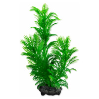 Dekorácia Tetra Rastlina Green Cabomba S 15cm