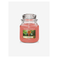 Yankee Candle vonná sviečka The Last Paradise Classic stredná