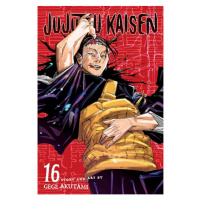 Viz Media Jujutsu Kaisen 16