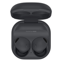 Samsung Galaxy Buds 2 Pro Grey