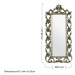 Nástenné zrkadlo 57x126 cm Champagne – Premier Housewares