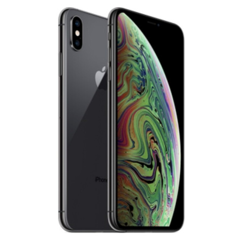 Apple iPhone XS Max 256GB vesmírne šedý