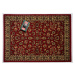 Kusový koberec Samira New Red 12002-011 - 240x320 cm Spoltex koberce Liberec