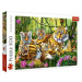 Trefl puzzle 500 Tigria rodinka