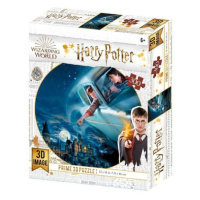 3D puzzle Harry Potter - Harry & Ron Flyingover Hogwarts 300ks